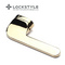 GL Глян. золото